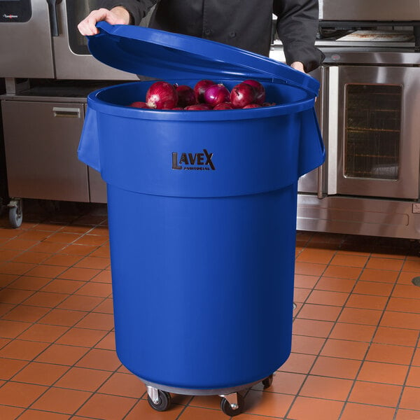 Lavex Janitorial 55 Gallon Blue Round Commercial Trash Can with Lid and ...