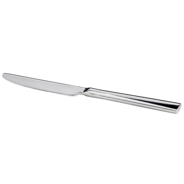 A Oneida stainless steel dinner knife with a silver handle.