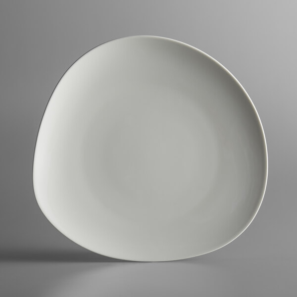 A white Schonwald WellCome flat coupe porcelain plate with a curved edge on a gray background.