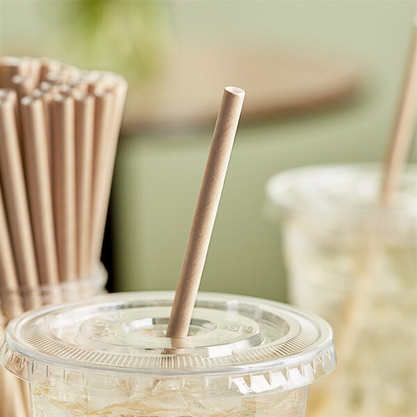 An EcoChoice unwrapped paper straw in a plastic cup.