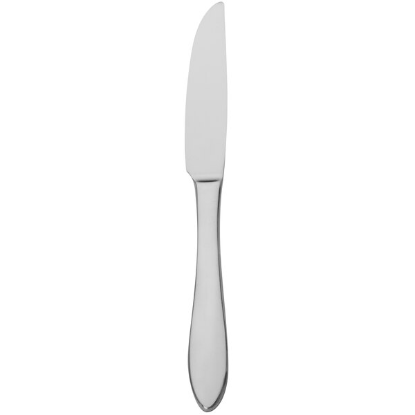 A silver Walco European table knife with a black border on a white background.