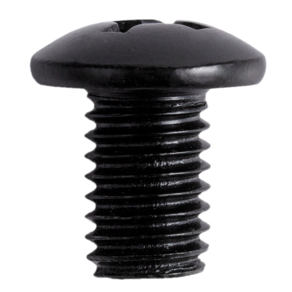 A close-up of a Lavex Harness screw with a round head.