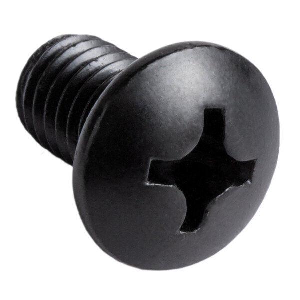 A close-up of a black Lavex Harness screw with a cross.
