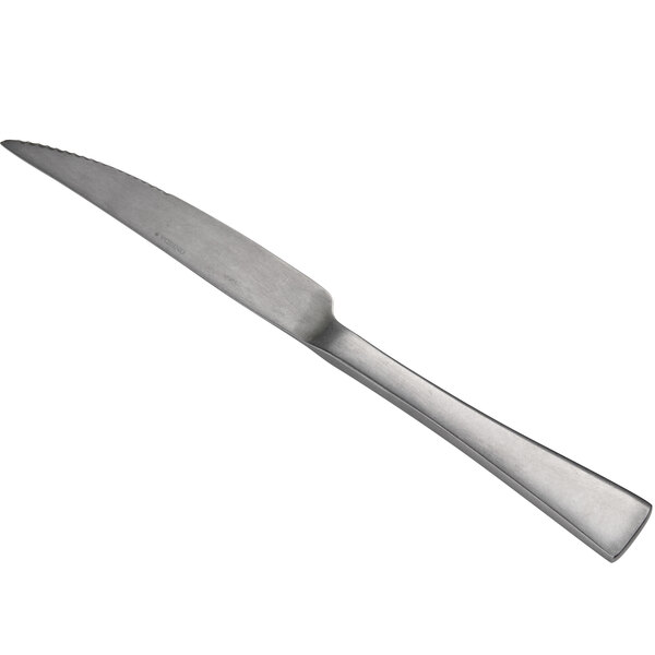A close-up of a silver Oneida Lexia steak knife with a long handle.