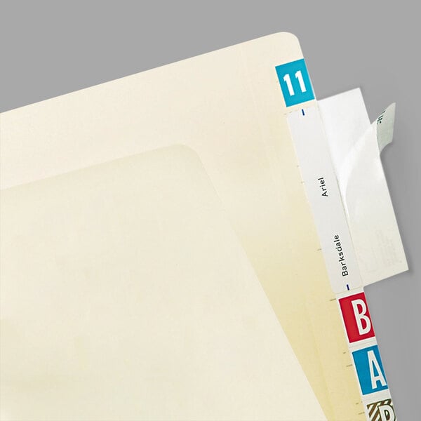 A file folder with a clear label attached to the top.