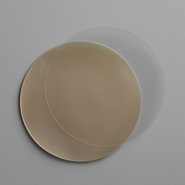 Edlund round cellophane patty paper with a circle in the middle.