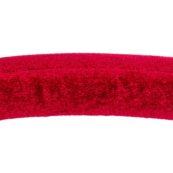 A red stanchion rope with satin ends on a white background.