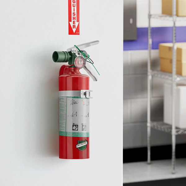 A red Buckeye 2.5 lb. Halotron fire extinguisher with a fixed nozzle and DOT vehicle bracket mounted on a wall.
