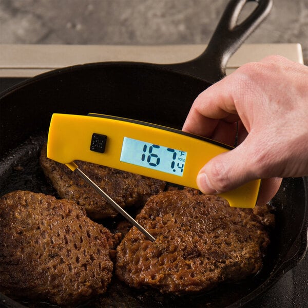 a meat with a digital thermometer