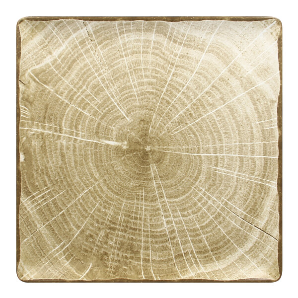 A square moss green porcelain plate with a circular tree ring pattern.