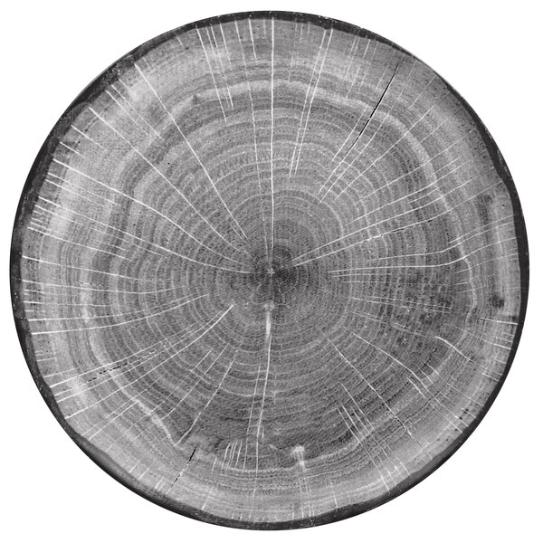 A close up of a beech wood tree stump.