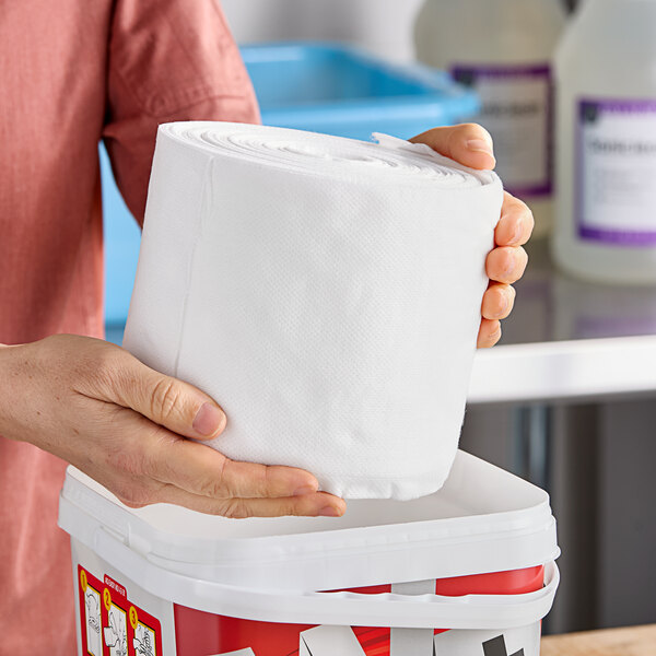 A person holding a roll of WipesPlus multi-task surface wipes.