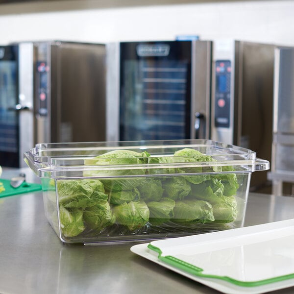 A Rubbermaid FreshWorks food container holding lettuce on a counter.