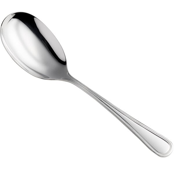 Stainless Steel Serving Spoon Long Handle Portion Control Dinner