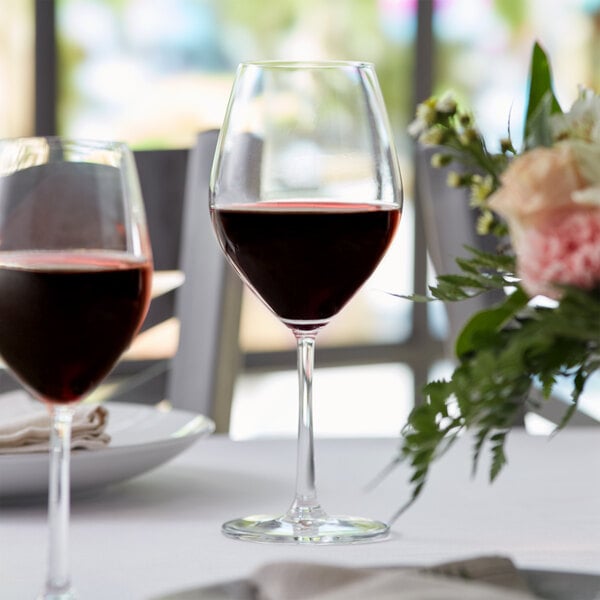 Different Types of Wine Glasses –