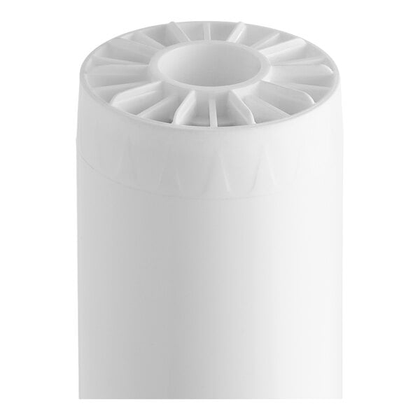C Pure AQUAKING PSC20 20" Scale, Taste, and Odor Reduction Drop In Cartridge - 25 Micron Rating and 3 GPM