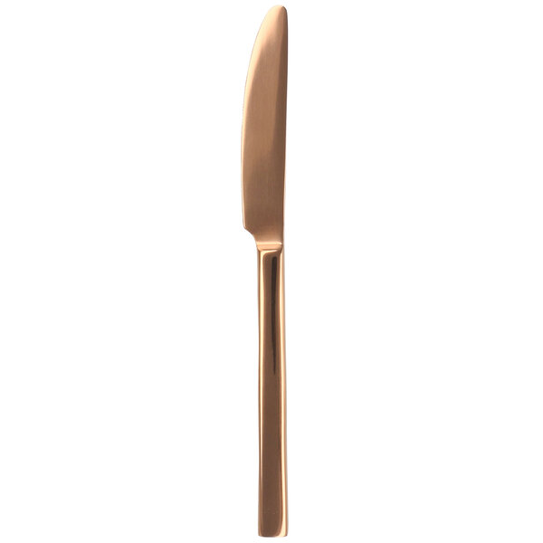 A close up of a Walco Rose Gold Stainless Steel Dinner Knife with a long blade and a metal handle.