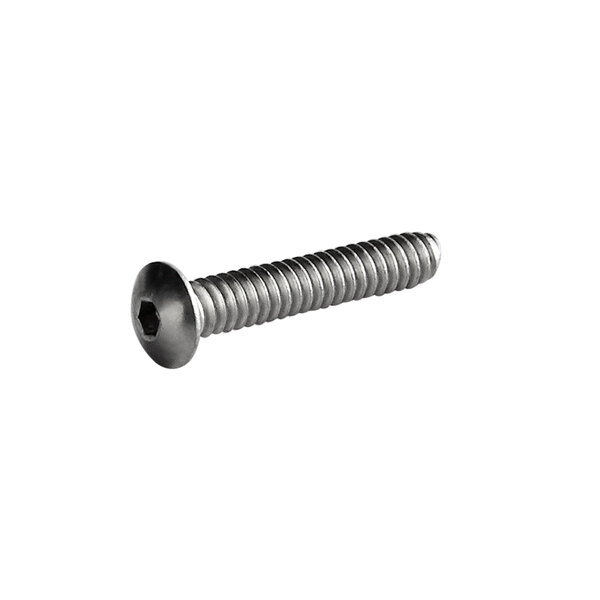 A close-up of a Sunkist Button Head screw.