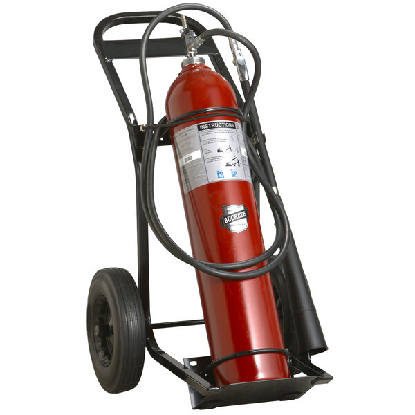 Buckeye 50 Lb. Carbon Dioxide Fire Extinguisher - Rechargeable Untagged ...