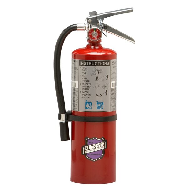 Buckeye 5 lb. Purple K Fire Extinguisher with Fixed Nozzle ...