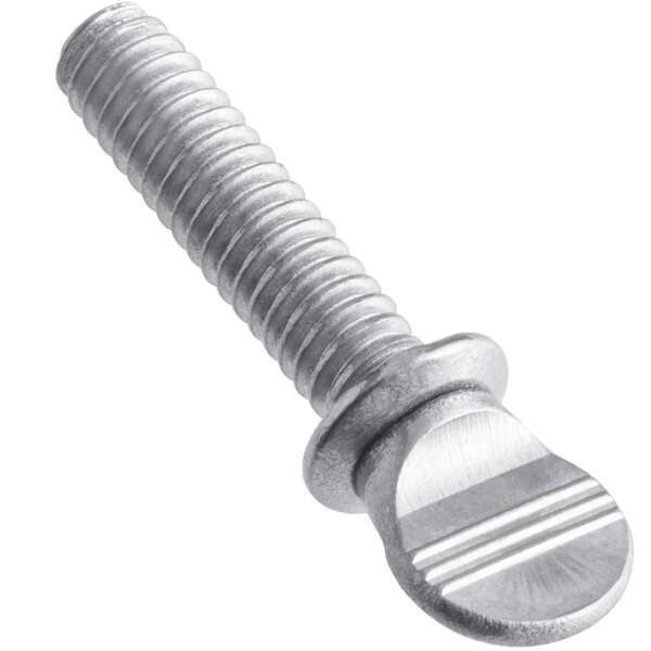 a close-up of a screw