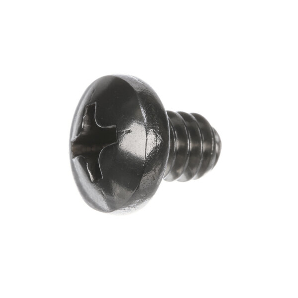 A close-up of a black Hobart stainless steel screw with a star head.