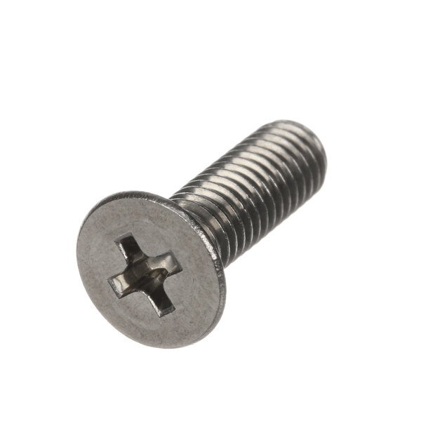 A close-up of a Hobart flat head screw.