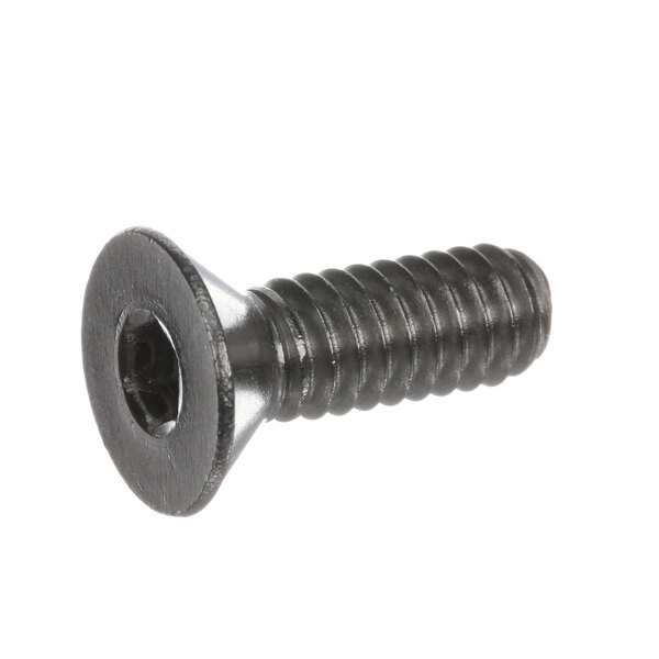 A close-up of a black Hobart screw with a round head.