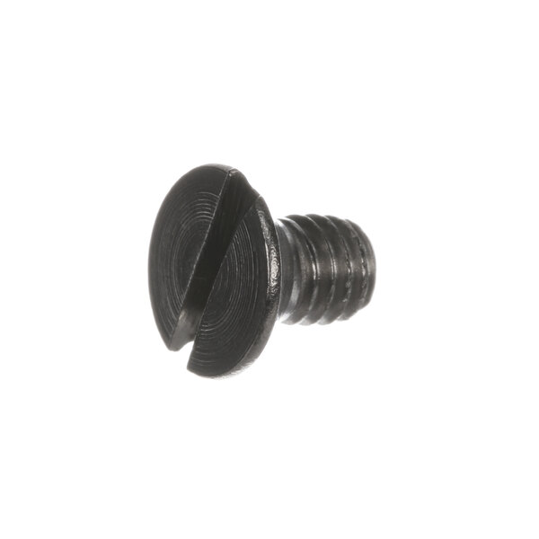 A close-up of a Hobart SC-120-83 metal black screw with a small circle on the head.