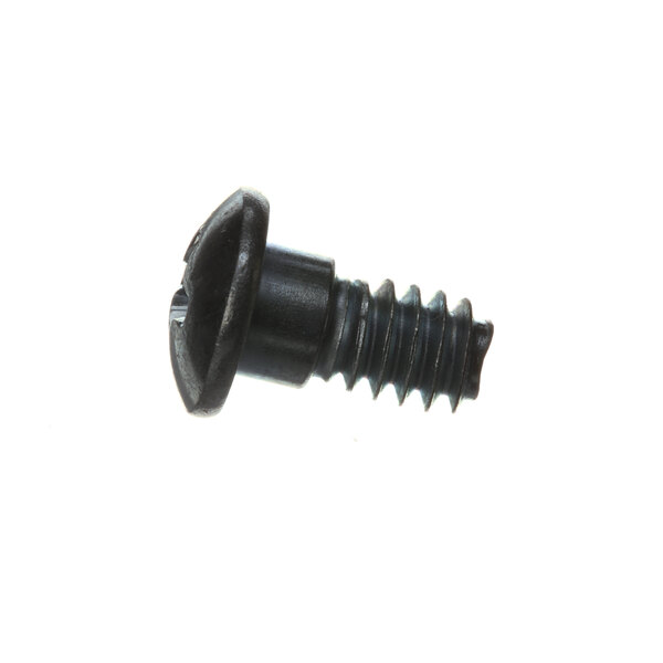 a close-up of a black screw