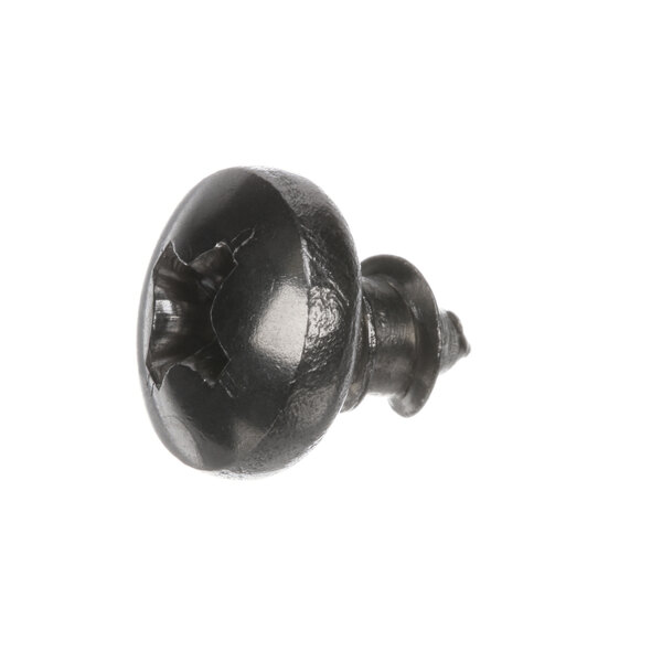 A close-up of a black Hobart screw with a type A drive.