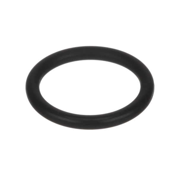 An American Dish Service black rubber O-ring.