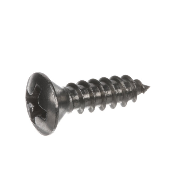 A close-up of a Hobart Drive Screw.