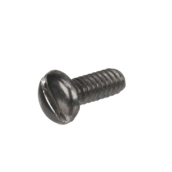 A close-up of a Bunn 02327.0002 black screw.