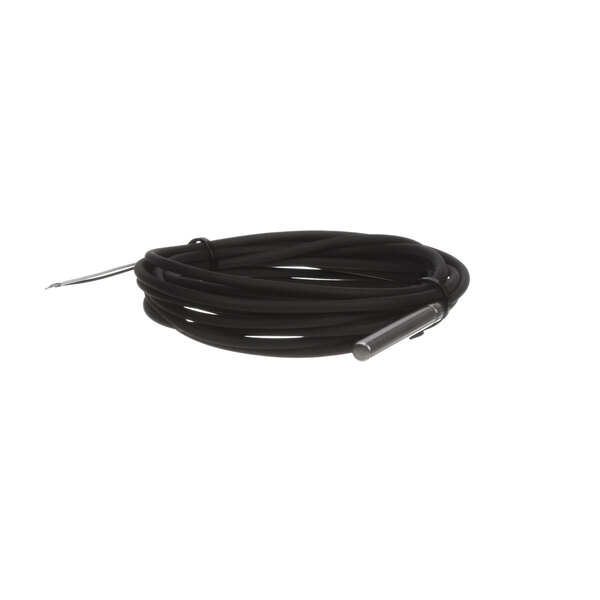 A black wire with a metal tip.