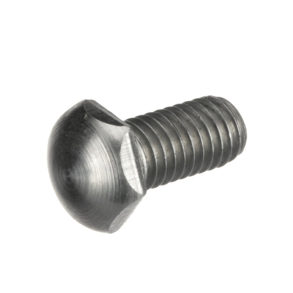 A close-up of a Carpigiani IC171101020 adjustment screw with a metal head.