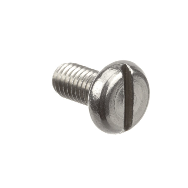 A Carpigiani screw on a white background.