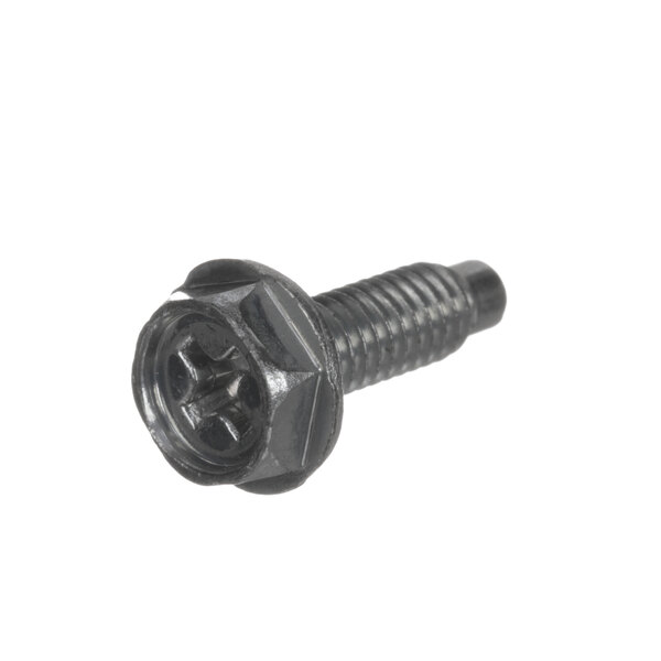 a close-up of a black screw