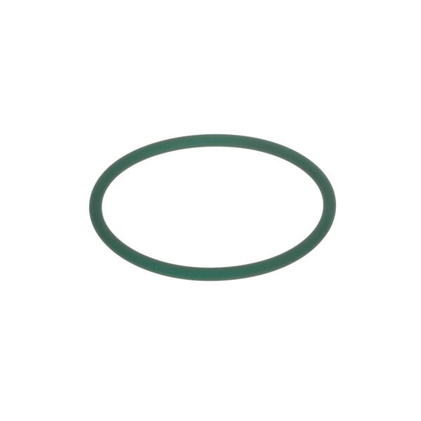 A green o-ring on a white background.