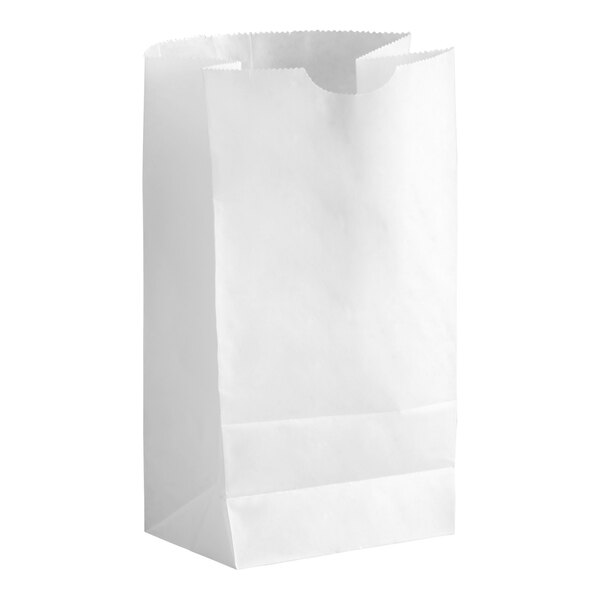 A plain white paper bag standing upright on a white background.
