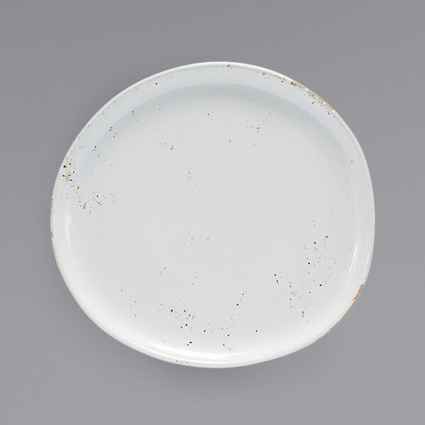 A white Front of the House Artefact porcelain plate with brown specks.