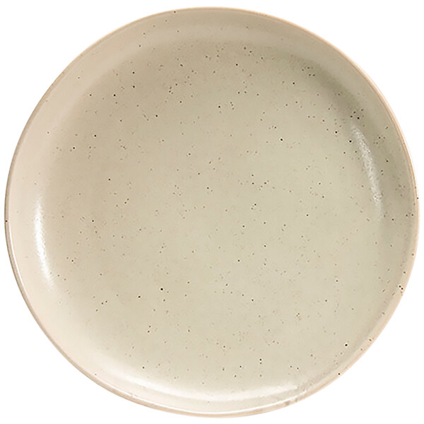 A white porcelain plate with black speckles.