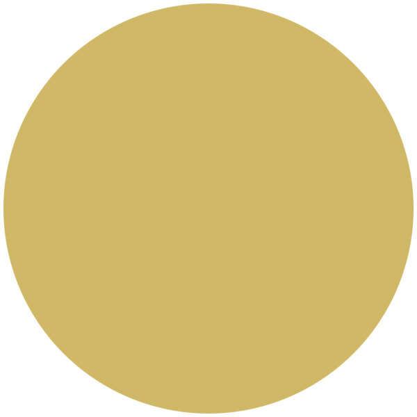 A yellow circle with white background.