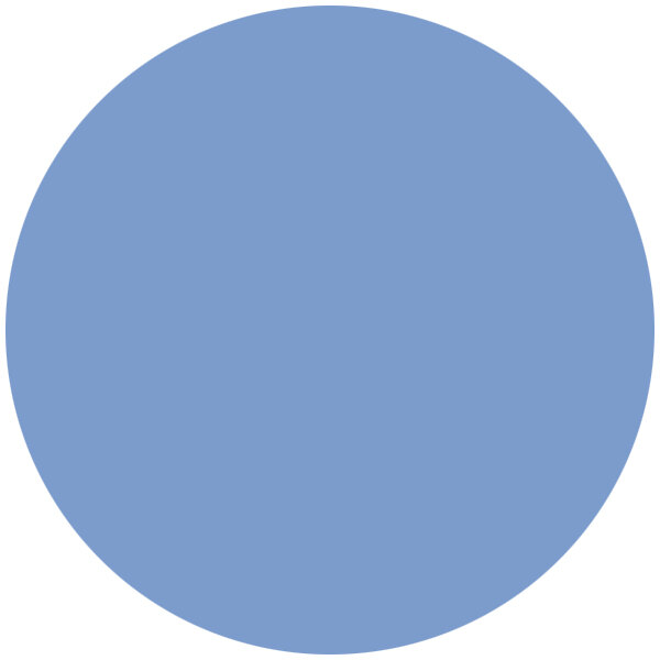 A white circle with a blue border.