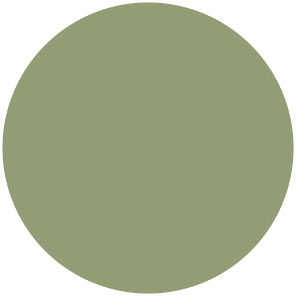a green circle with white background