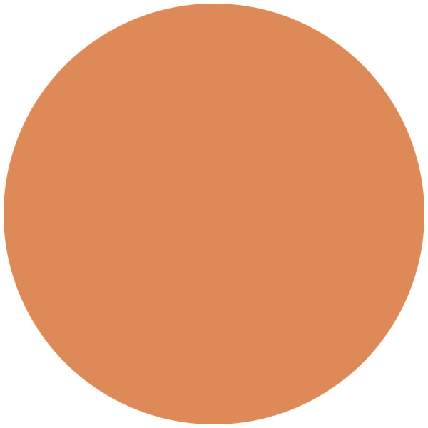 A close up of a circle with Tuscan Brown Roxy & Rich Fondust on it.