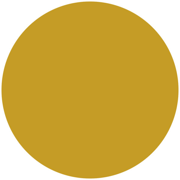 A yellow circle with white background.