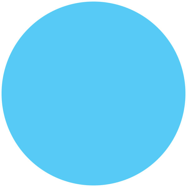 A blue circle with white text that says "Roxy & Rich Sky Blue Fondust"