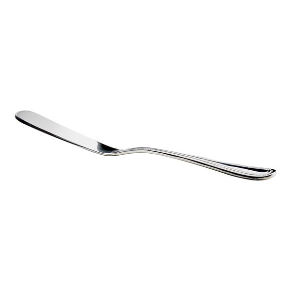 An Acopa stainless steel butter spreader with a silver handle.