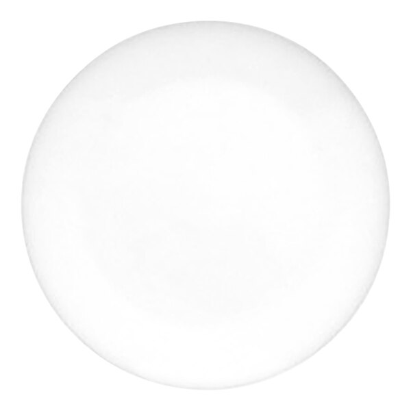 A small, round, white porcelain flat plate.